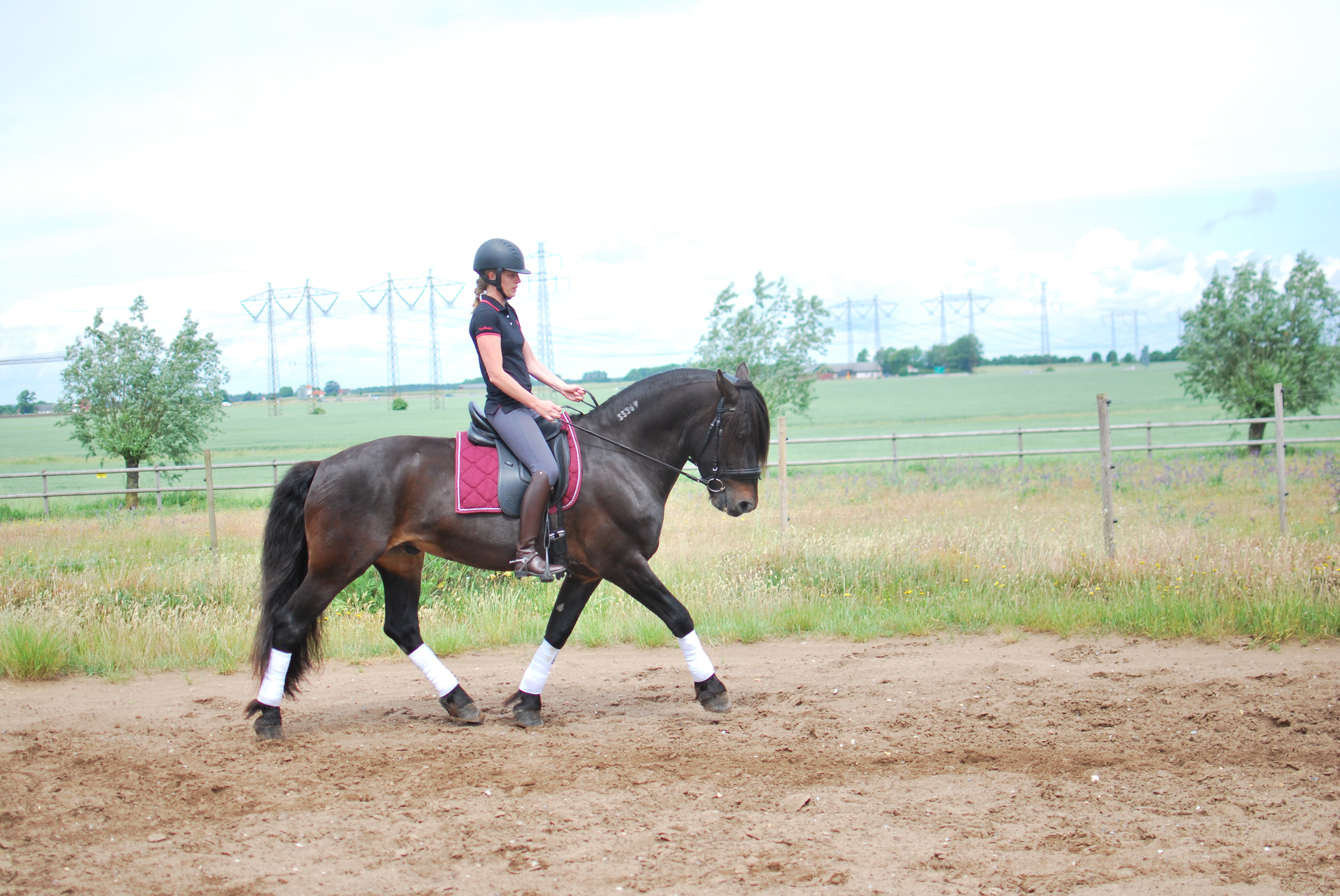Opux® Dressage II - 8