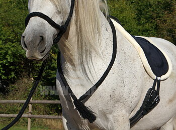 Halsring / cordeo QHP (fyra storlekar), svart