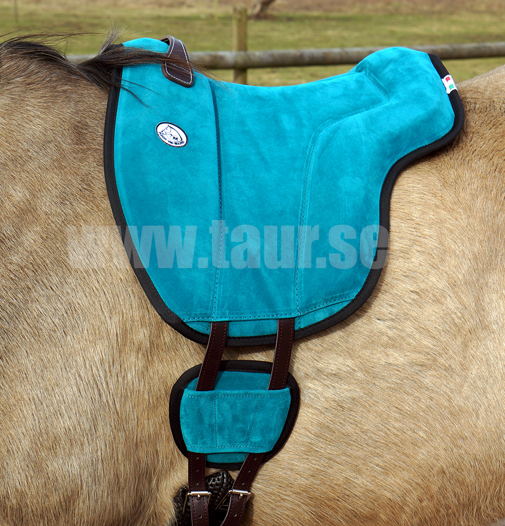 Brockamp ride pad / barebackpad in suede 'Special',  petrol - 3