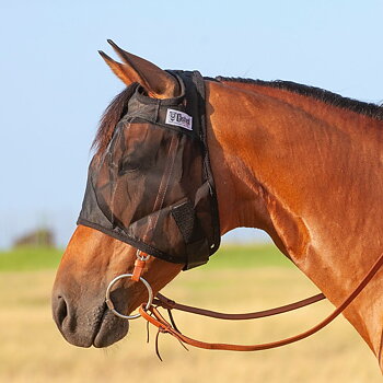 Cashel© Quiet Ride™ Mask (flughuva för ridning)