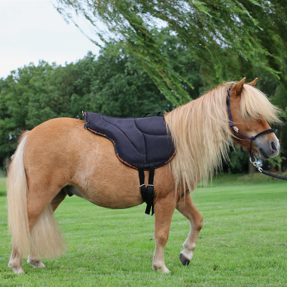F.R.A® Dardo bareback saddle / ride pad, shetland, brown - 3