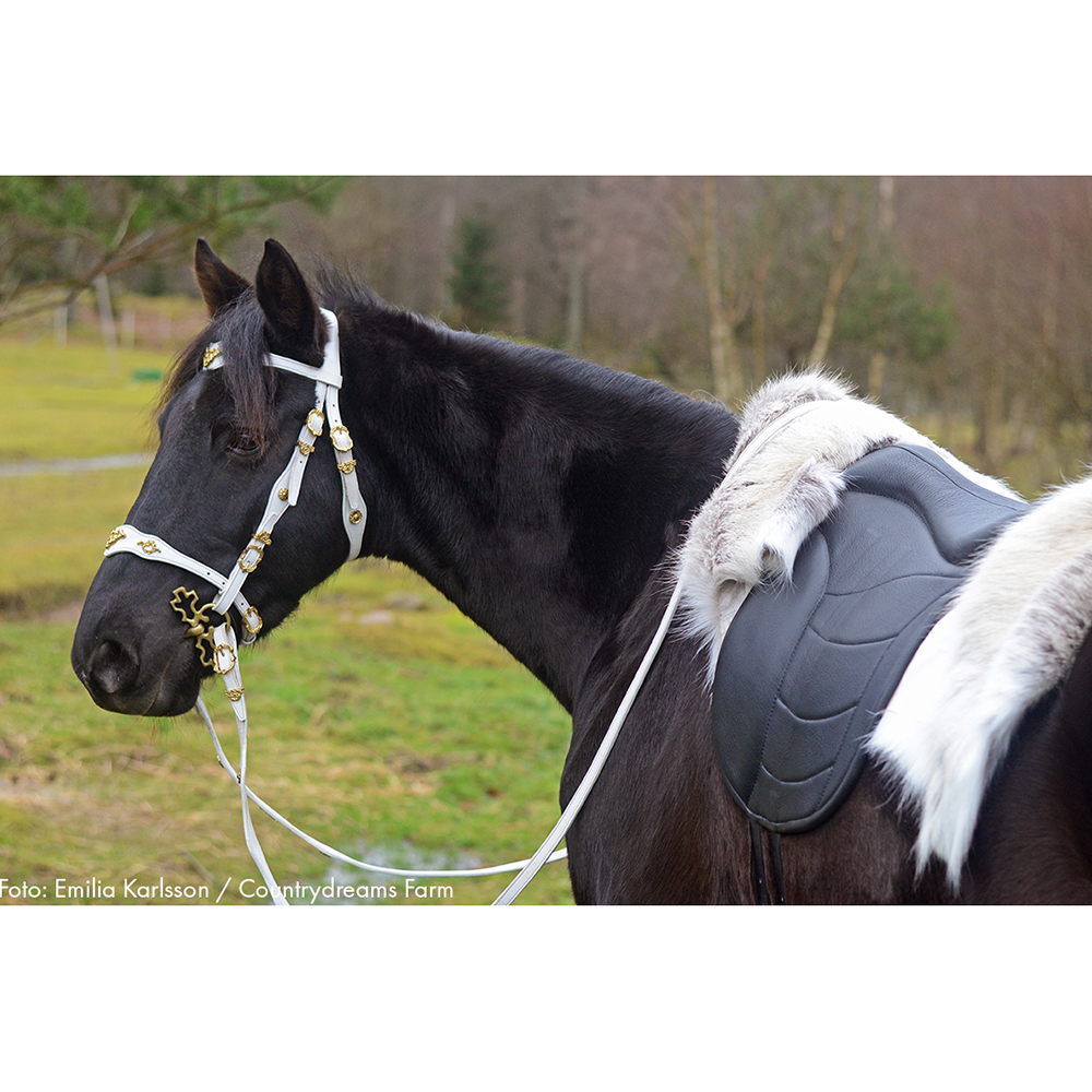 Taur Pad Supreme II (barbackasadel / ridpad med ryggradsfrihet)  - Spider Edition - 8