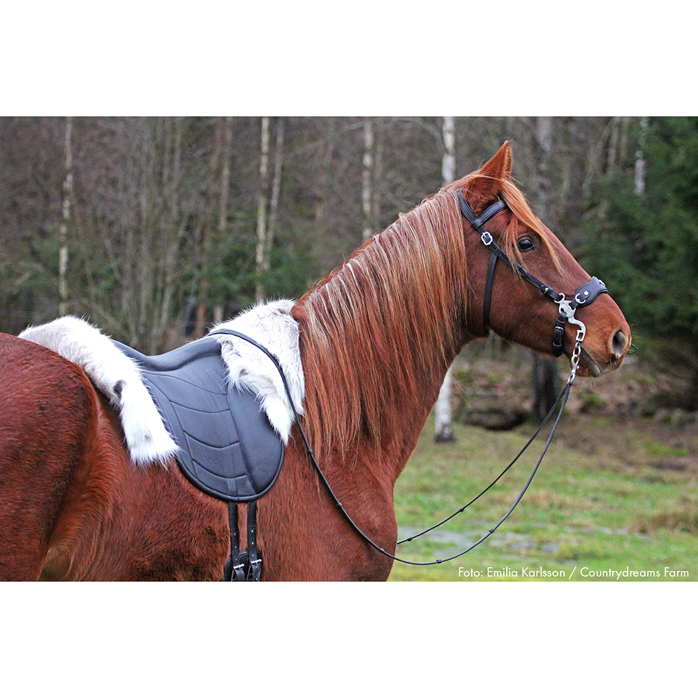 Taur Pad Supreme II (barbackasadel / ridpad med ryggradsfrihet)  - Spider Edition - 9