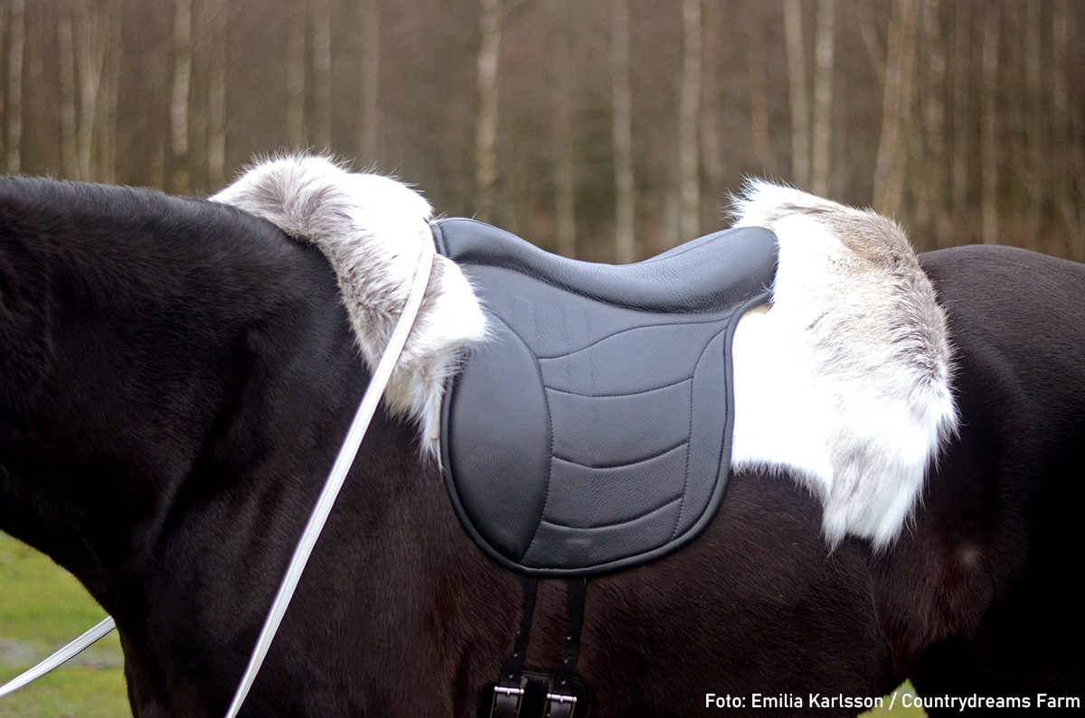 Taur Pad Supreme II (barbackasadel / ridpad med ryggradsfrihet)  - Spider Edition - 5