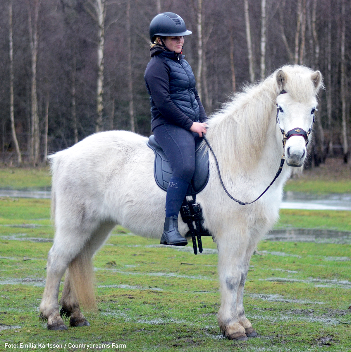 Taur Pad Supreme II (barbackasadel / ridpad med ryggradsfrihet)  - Spider Edition - 7