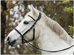 Barefoot® Contour Trail bridle - 3