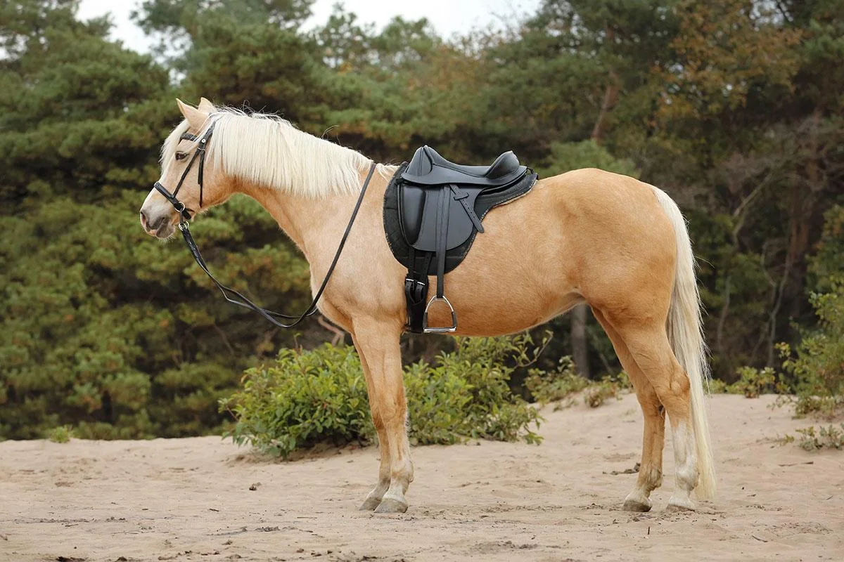  Barefoot® Merlyn - dressage saddle  - 9
