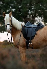  Barefoot® Merlyn - dressage saddle  - 5
