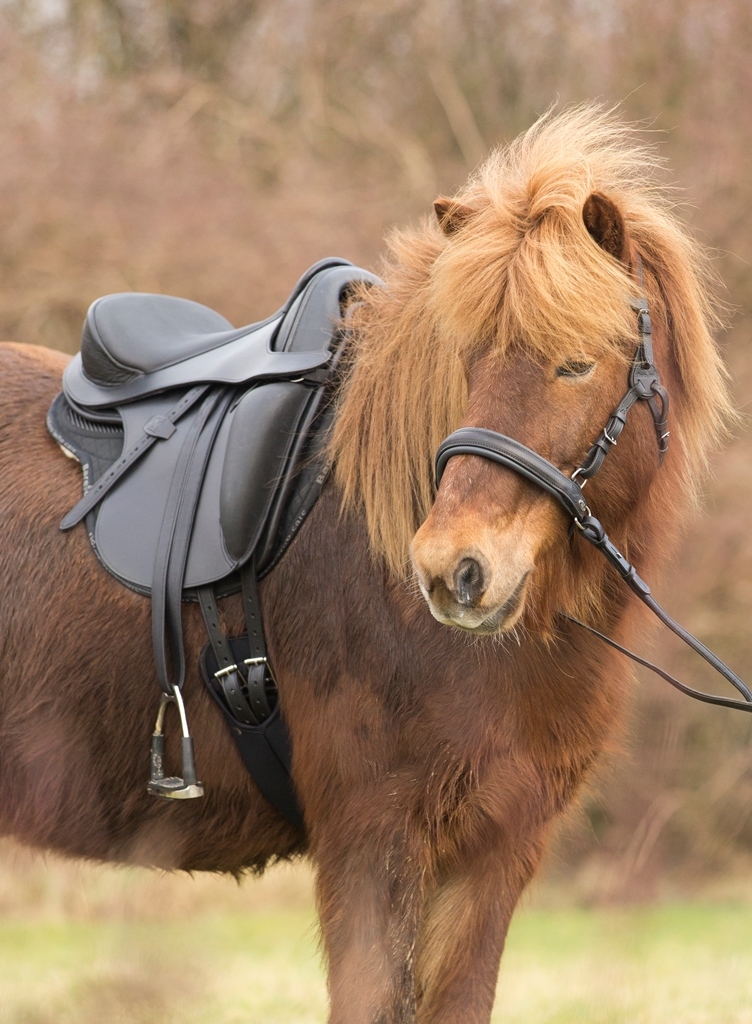  Barefoot® Merlyn - dressage saddle  - 3