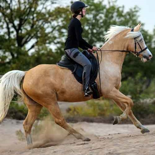  Barefoot® Merlyn - dressage saddle  - 6