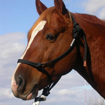 Rope halter Double Diamond #150 (superstrong) 