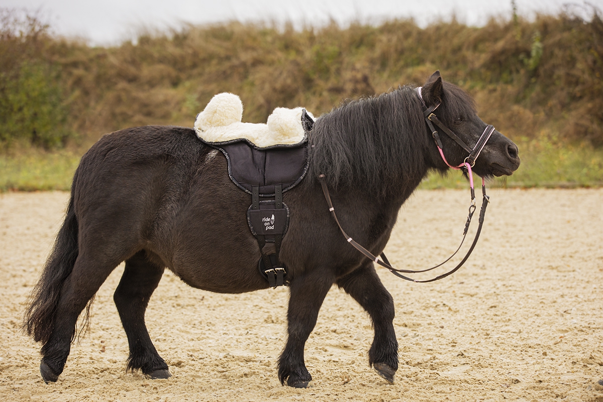 LIMITED EDITION! Barefoot® Ride-On-Pad Barn / Shettis, Lavendel - 4