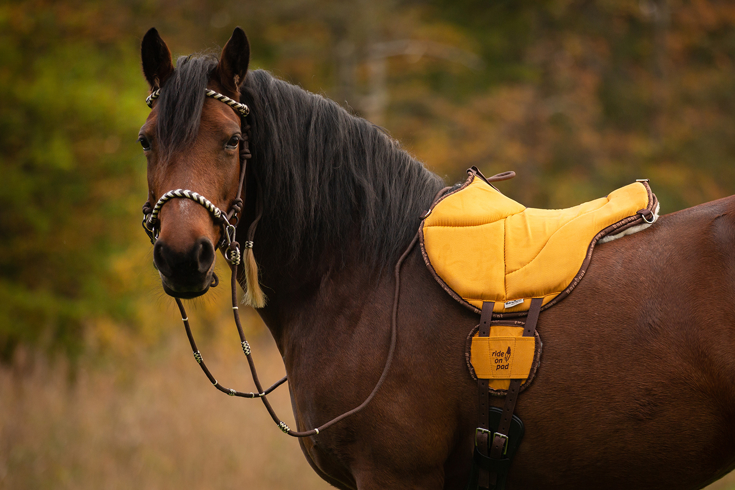 LIMITED EDITION! Barefoot® Ride-On-Pad Physio, Green - 2