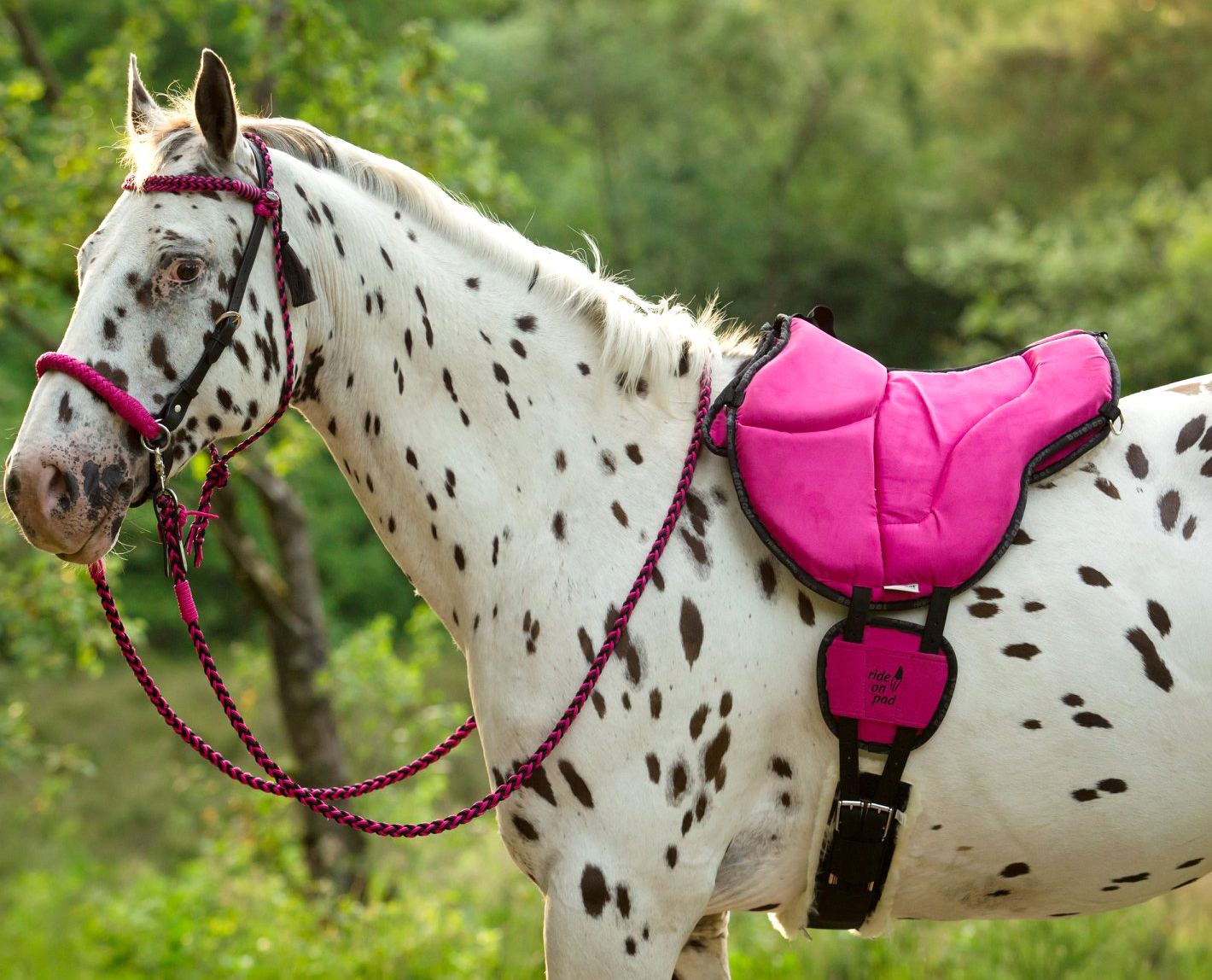 LIMITED EDITION! Barefoot® Ride-On-Pad Physio, Green - 3