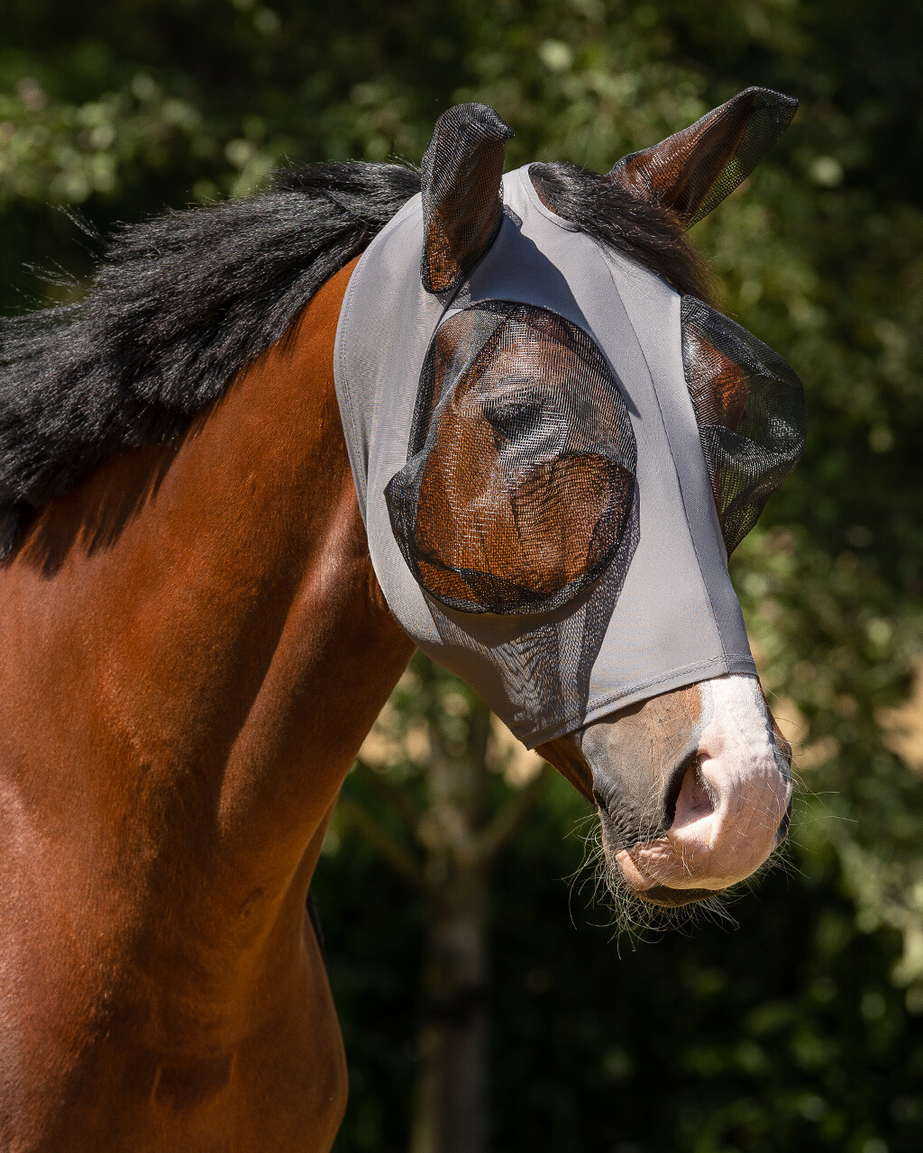 QHP Fly Mask (with ears and zipper) Super bug, Grey