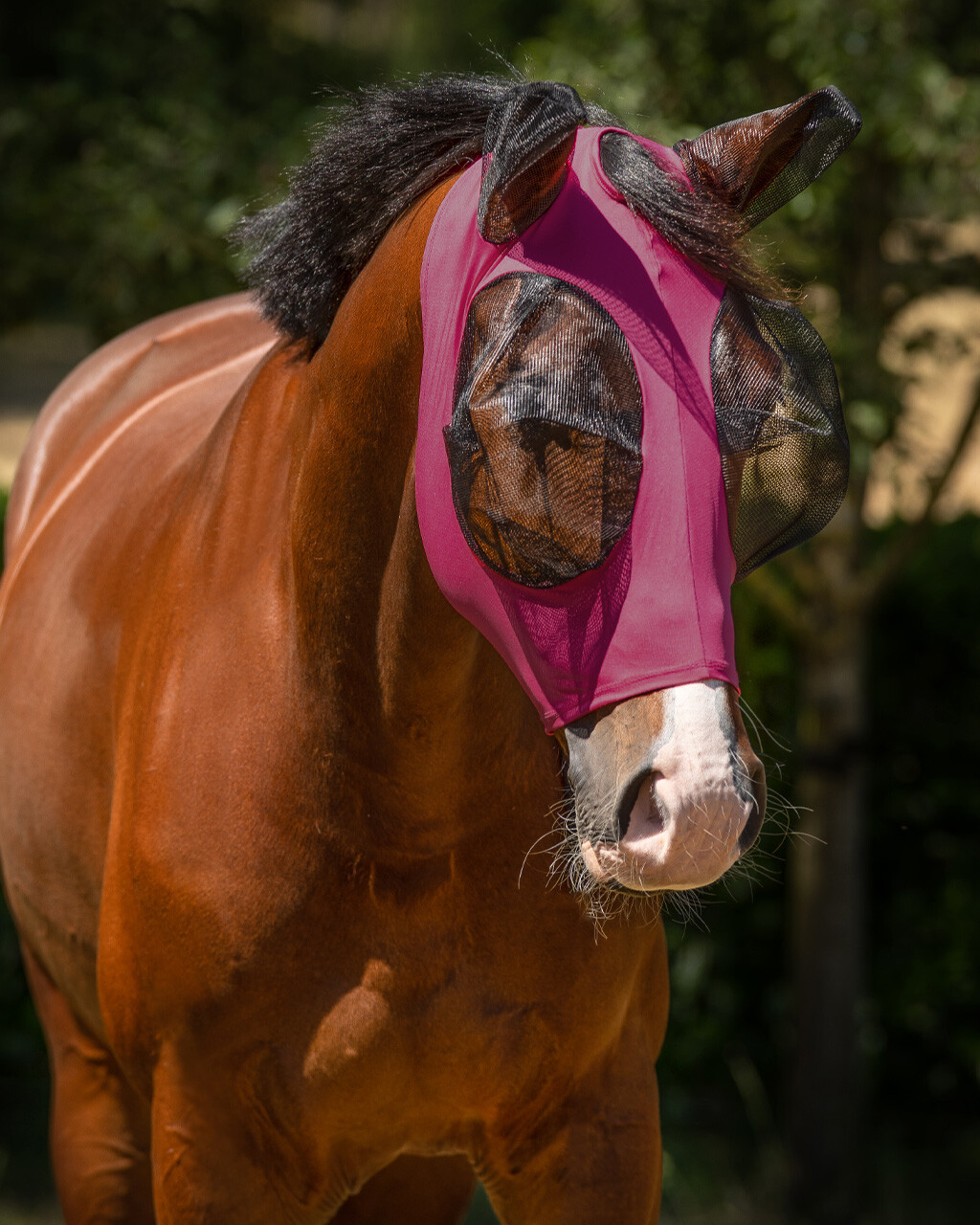 QHP Fly Mask (with ears and zipper) Super bug, Pink
