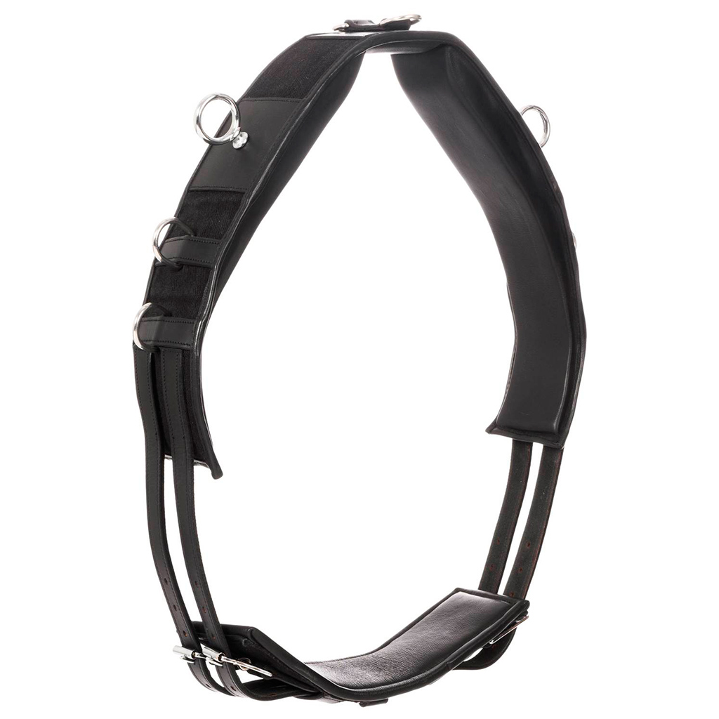 Lunging / training Surcingle, Globus  'ES' 