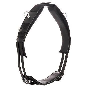 Lunging / training Surcingle, Globus  'ES' 