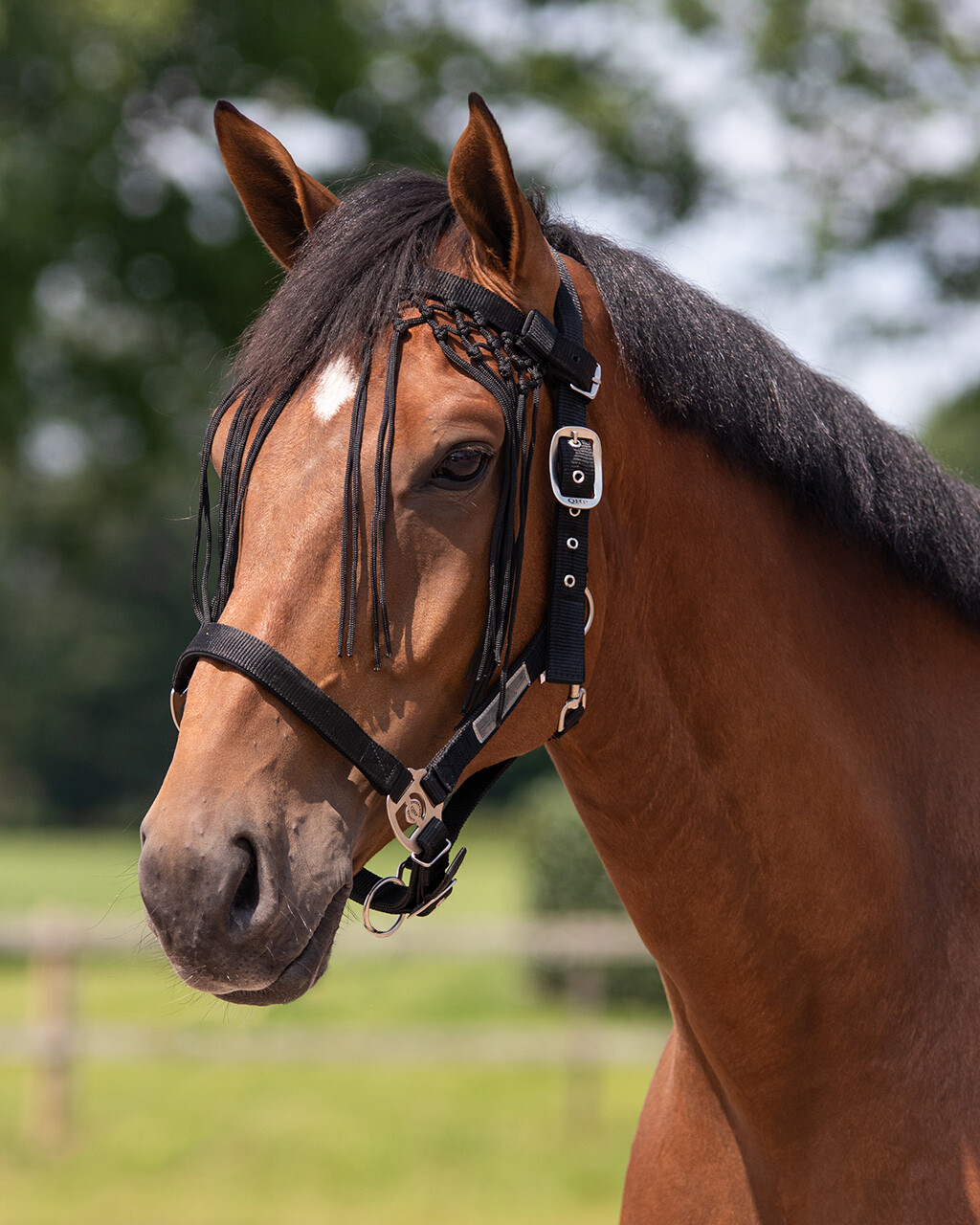 Anti-fly fringe Knotted QHP