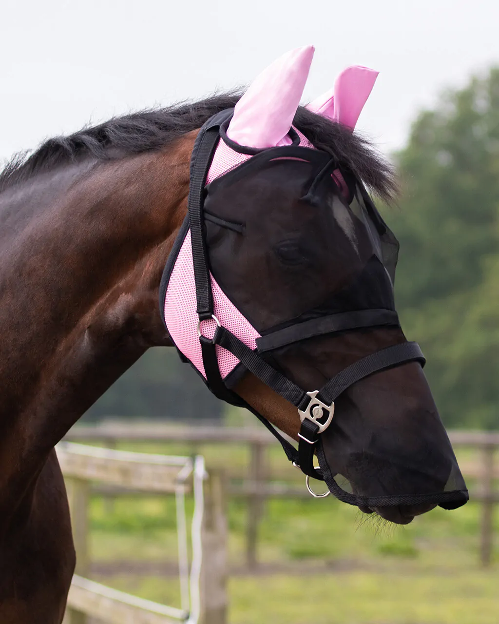 Fly mask QHP with removable nose guard, pink - 4