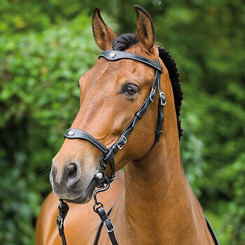 Marjoman Portuguese Lusitania Bridle inkl. tygel