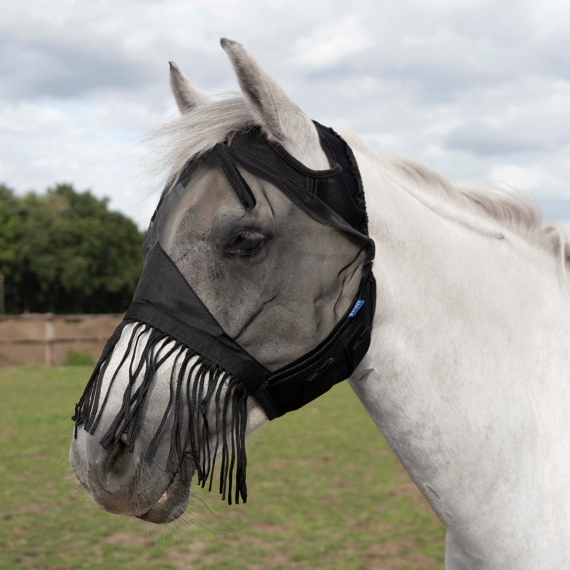Fly mask Fly Cover Gap with fringes