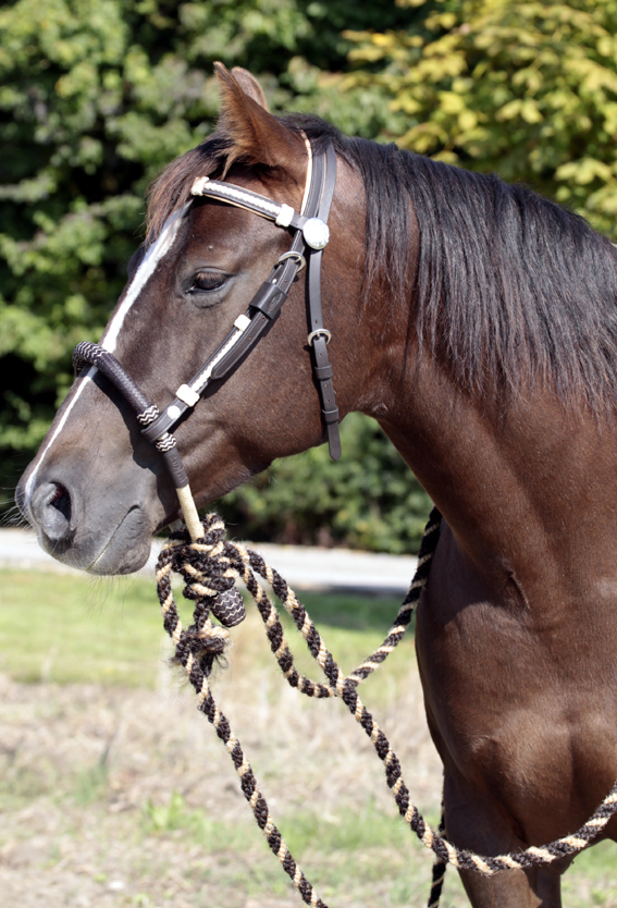 Barefoot® Oaklet headstall (with rawhide details) - 3
