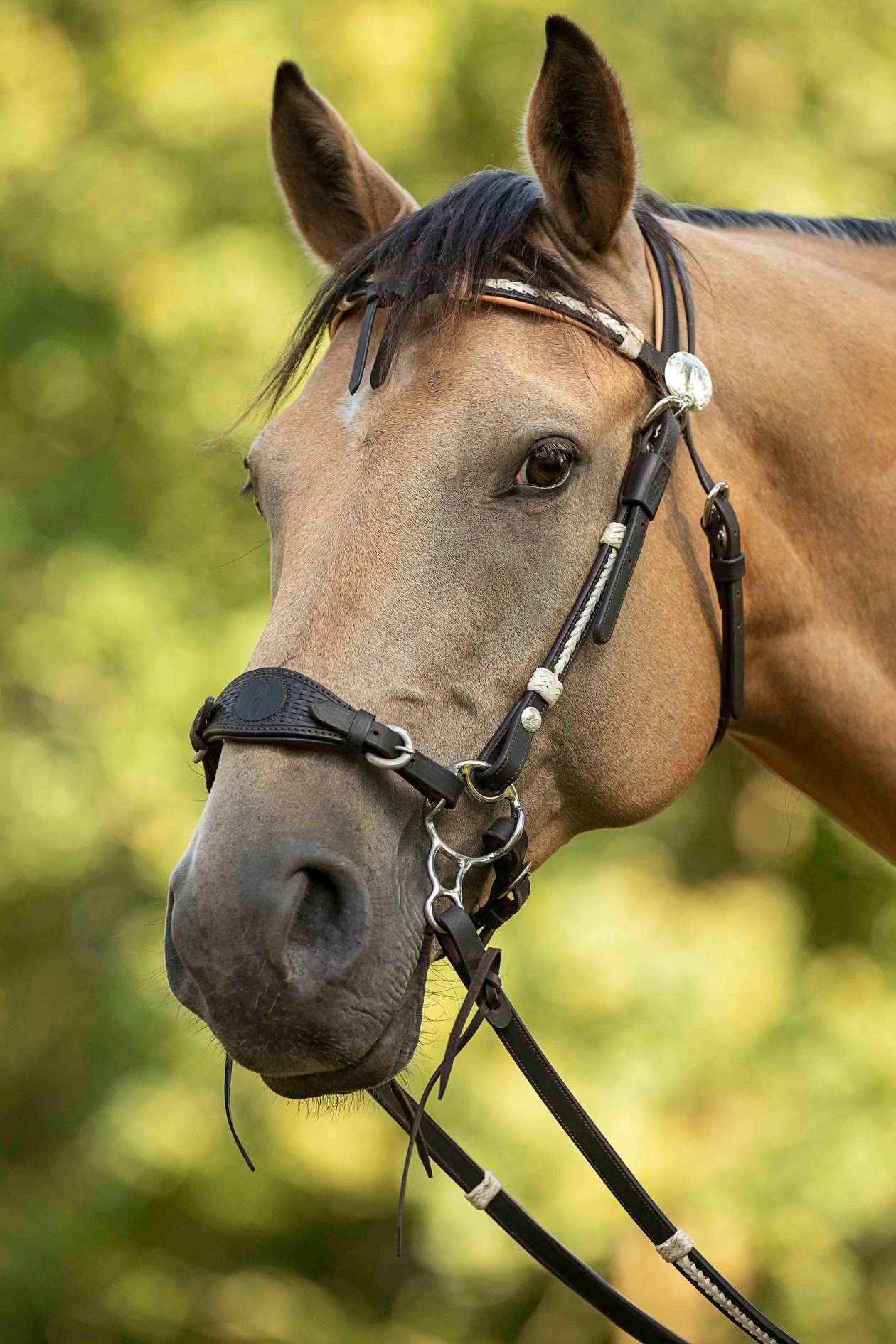 Barefoot® Oaklet headstall (with rawhide details) - 2