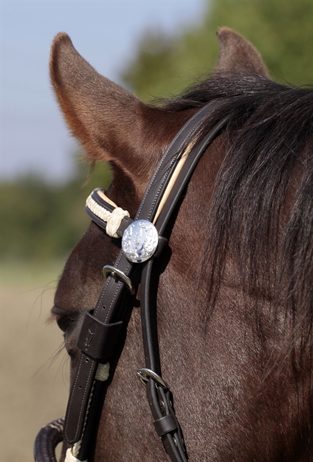 Barefoot® Oaklet headstall (with rawhide details) - 6