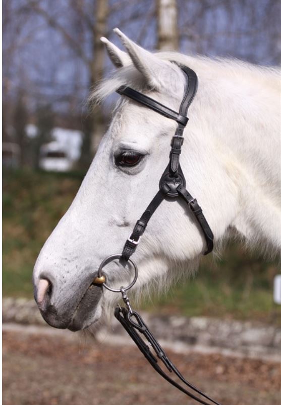 Headstall (anatomical) Barefoot® Contour Physio - 6