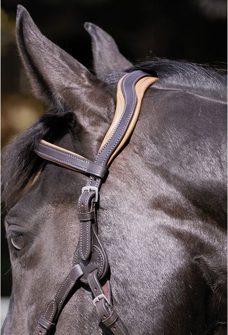Headstall (anatomical) Barefoot® Contour Physio - 3