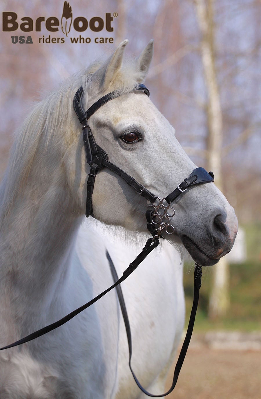Headstall (anatomical) Barefoot® Contour Physio - 15