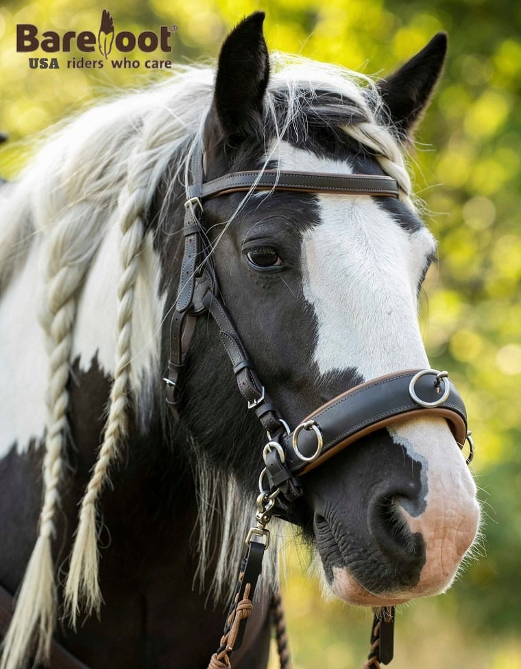 Headstall (anatomical) Barefoot® Contour Physio - 18