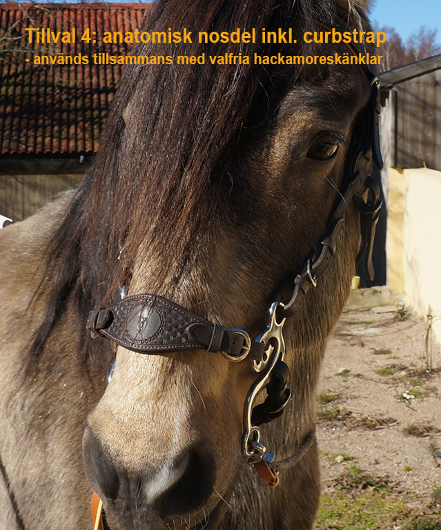 Headstall (anatomical) Barefoot® Contour Physio - 12