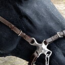 Hackamore skänklar Kort-hack Cross, svart