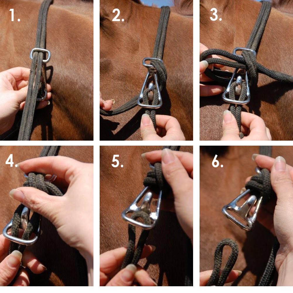 Stacy Westfall Halter Hook - 5
