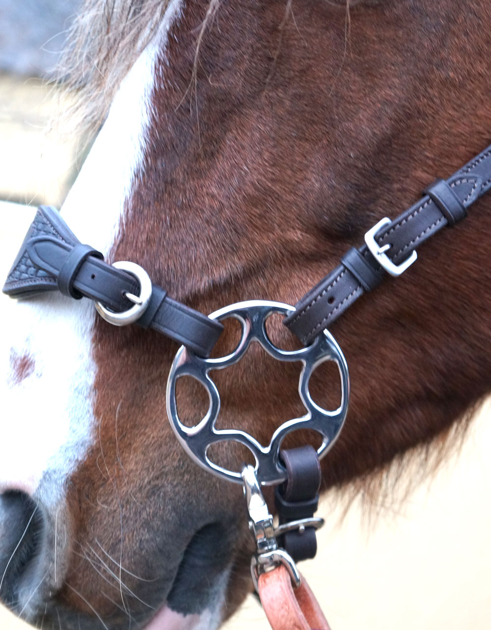 Hackamore shanks Star Wheel, black - 3