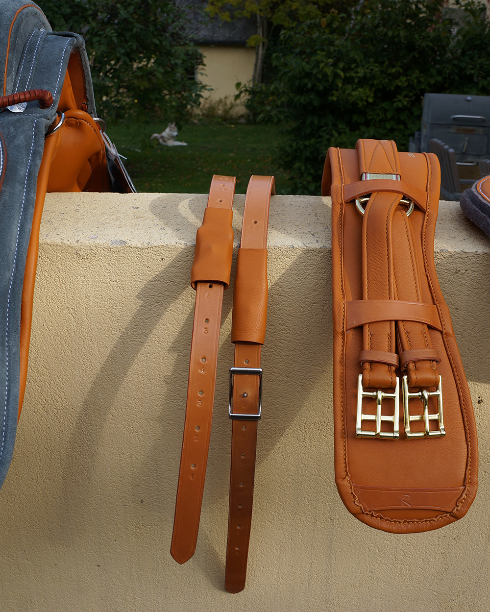 Gabriela Marianining erotik fotosurati Xotiningiz bilan uchlik haqida dori