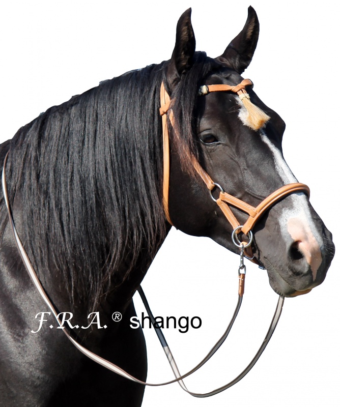 F.R.A® Shango Sidepull incl.reins, natural - 2