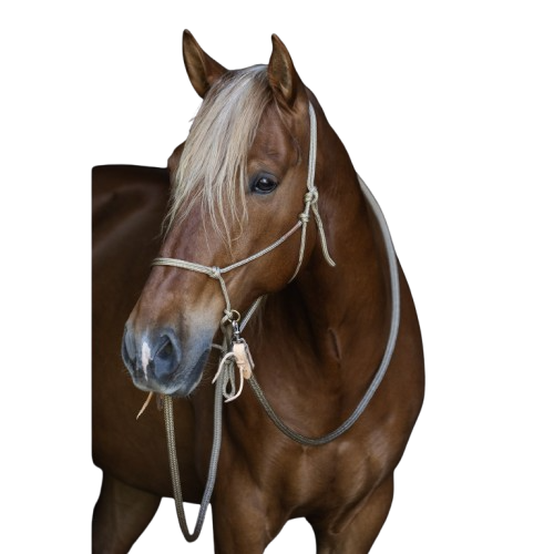 Rope halter Brockamp HorseMan PRO with sidepull rings - 2