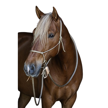 Ridrepgrimma / Sidepull Brockamp HorseMan PRO (svart eller beige)
