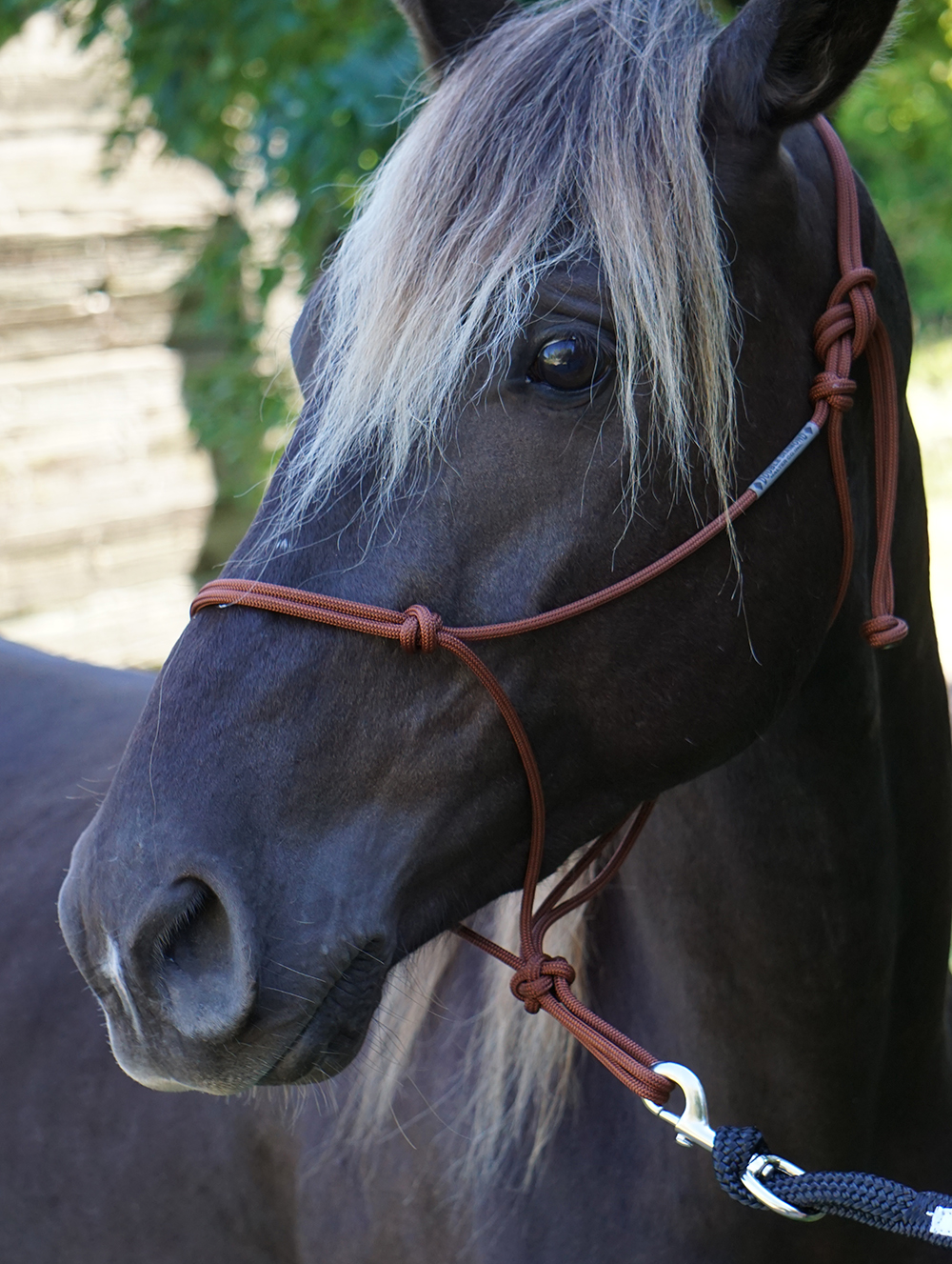Ropehalter Buck Brannaman #124, sage green - 4