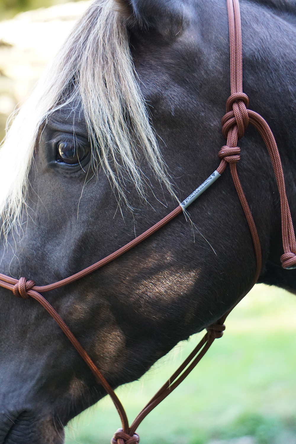 Ropehalter Buck Brannaman #124, sage green - 7