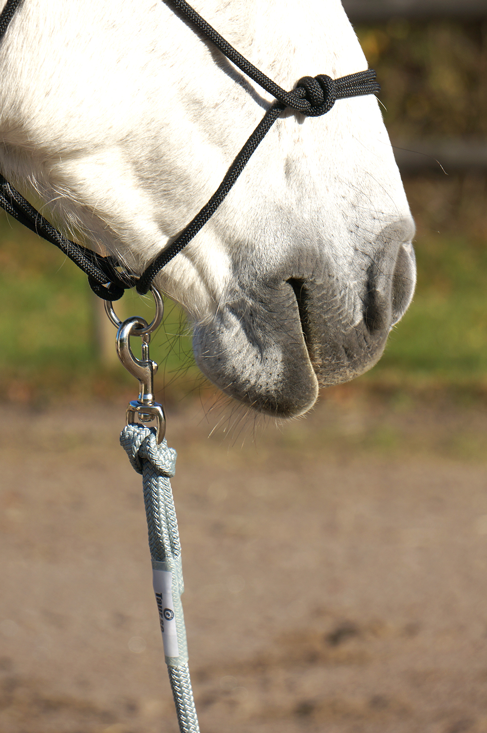 Rope halter Double Diamond #100 (sharp) "Mike Major", Large / Draft - 6