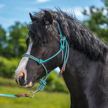 Rope halter Globus Basic pink/lilac (pony up to X-Full)