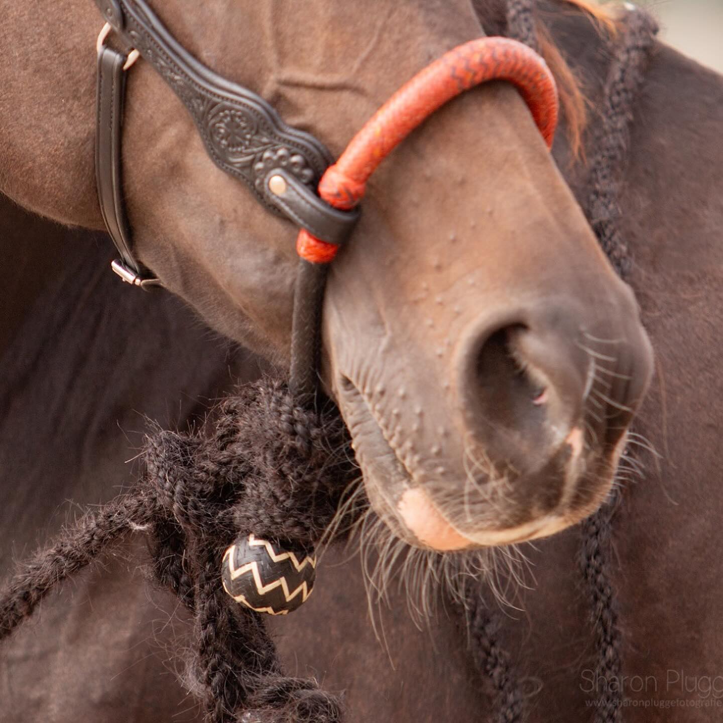 Edix® Chara Bosal Rawhide Black Cognac - 5