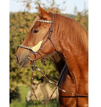Barefoot® ridrepgrimma Seneca