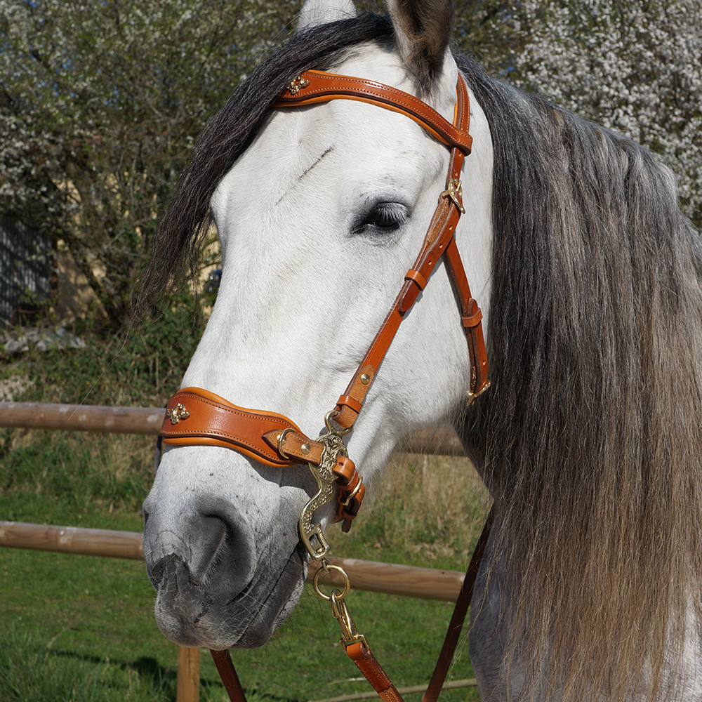 Hackamore bridle Noble by Opux®, natur