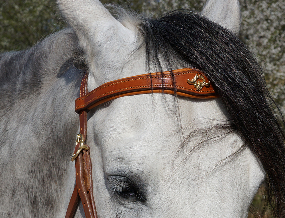 Hackamore bridle Noble by Opux®, natur - 4