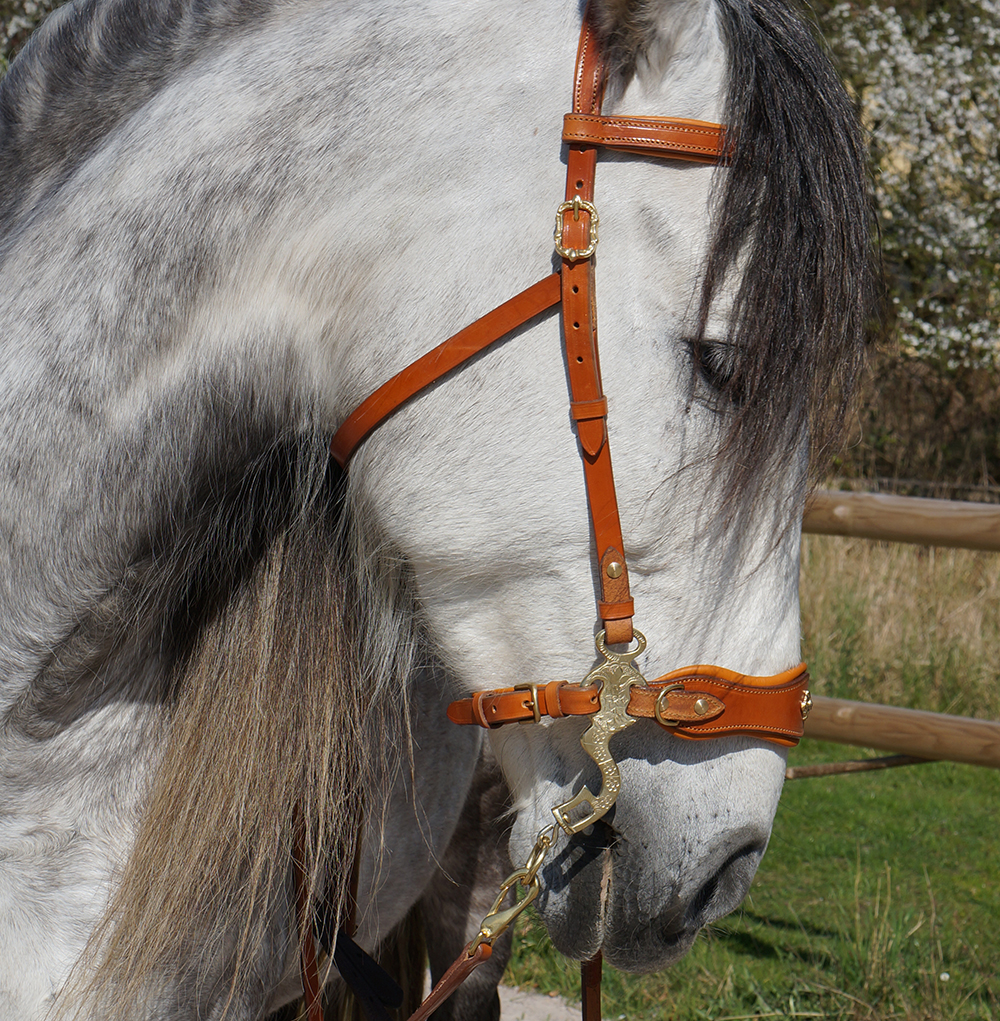 Hackamore bridle Noble by Opux®, natur - 2